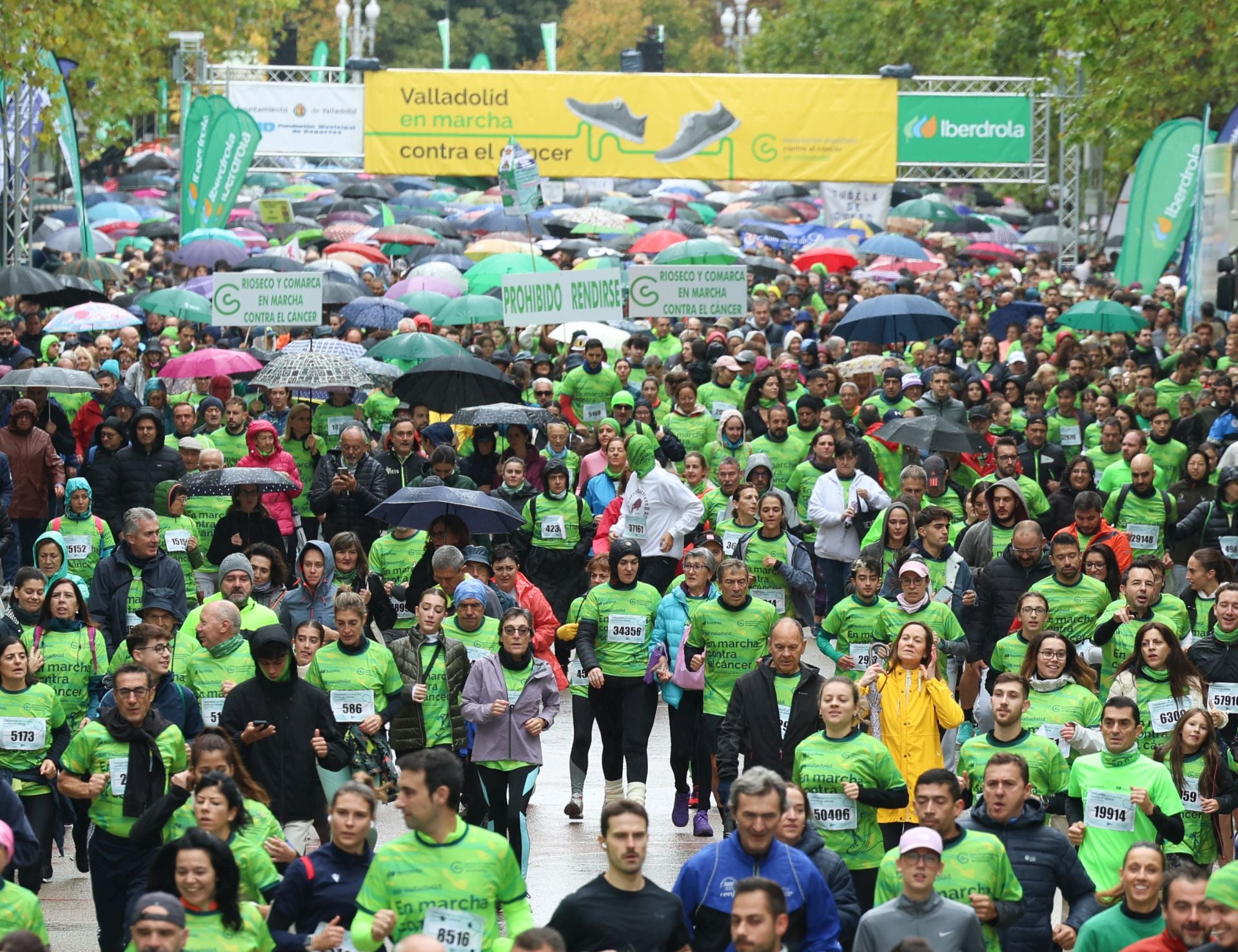 Todas las imágenes de la XIII Marcha contra el cáncer en Valladolid (3/3)