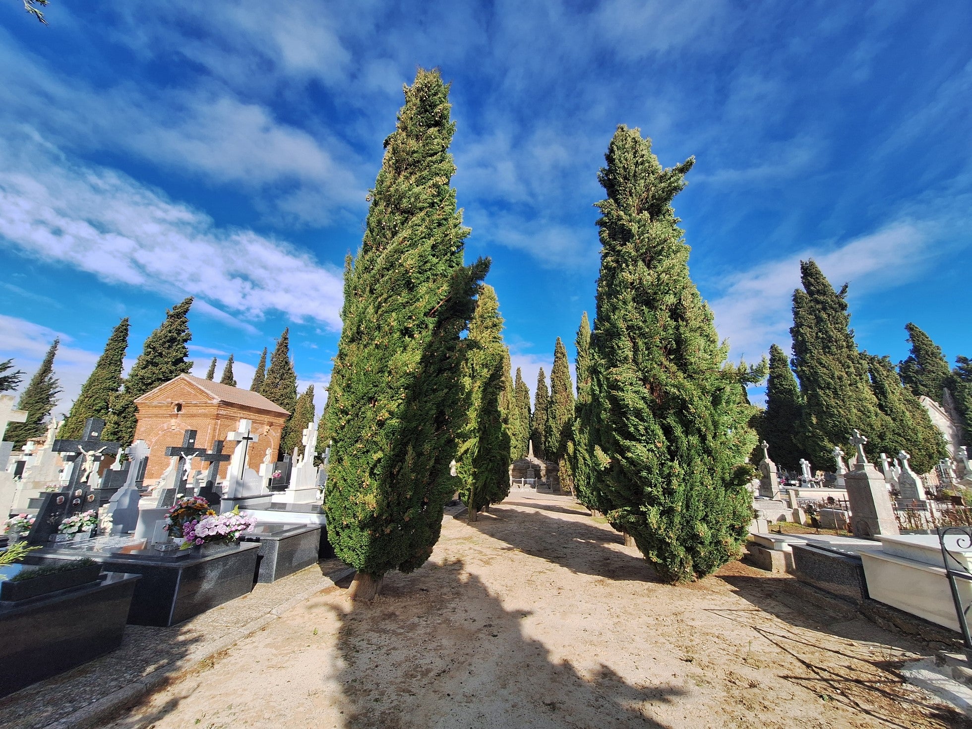 En busca de los epitafios del cementerio de Rioseco