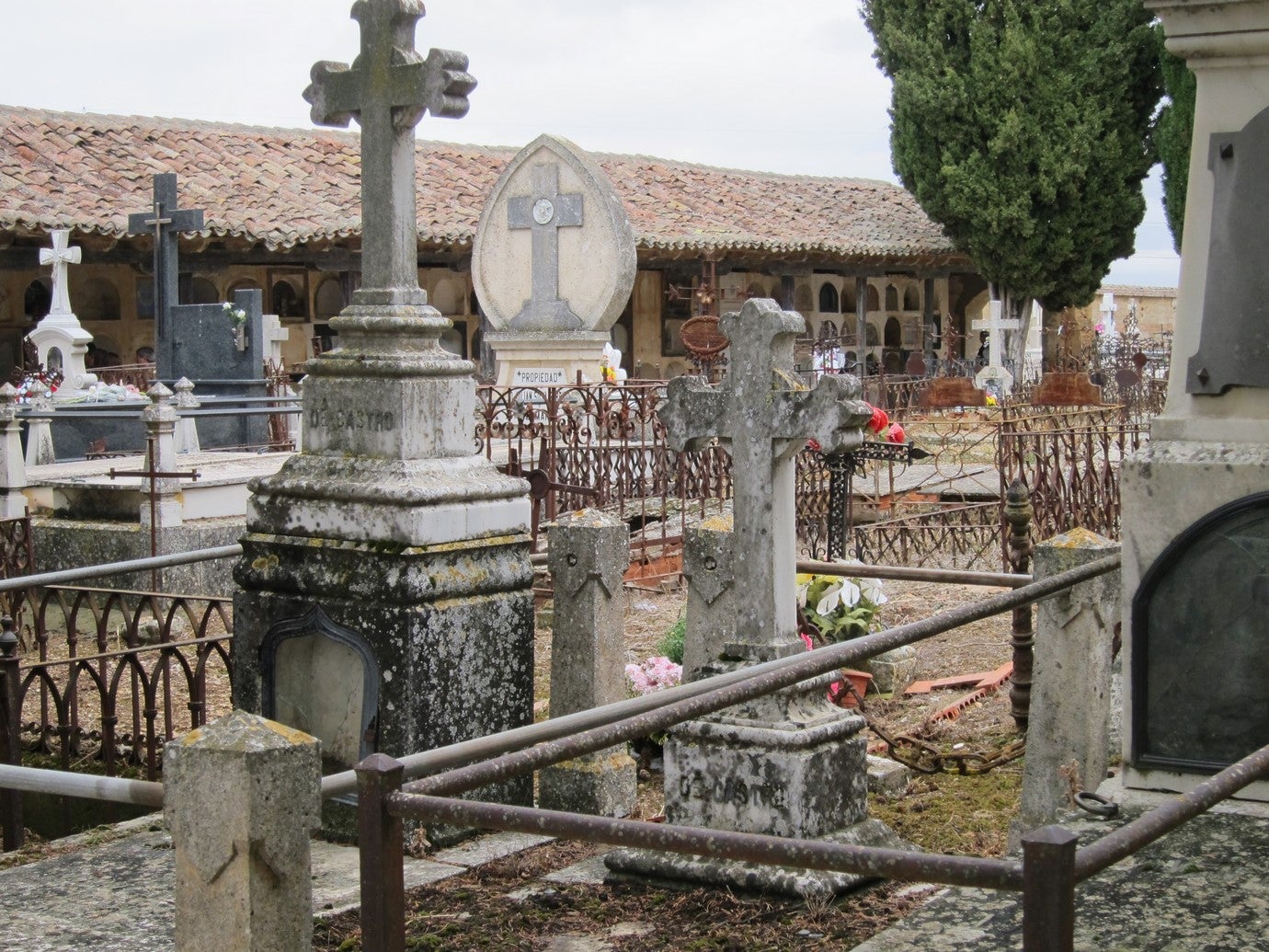 En busca de los epitafios del cementerio de Rioseco