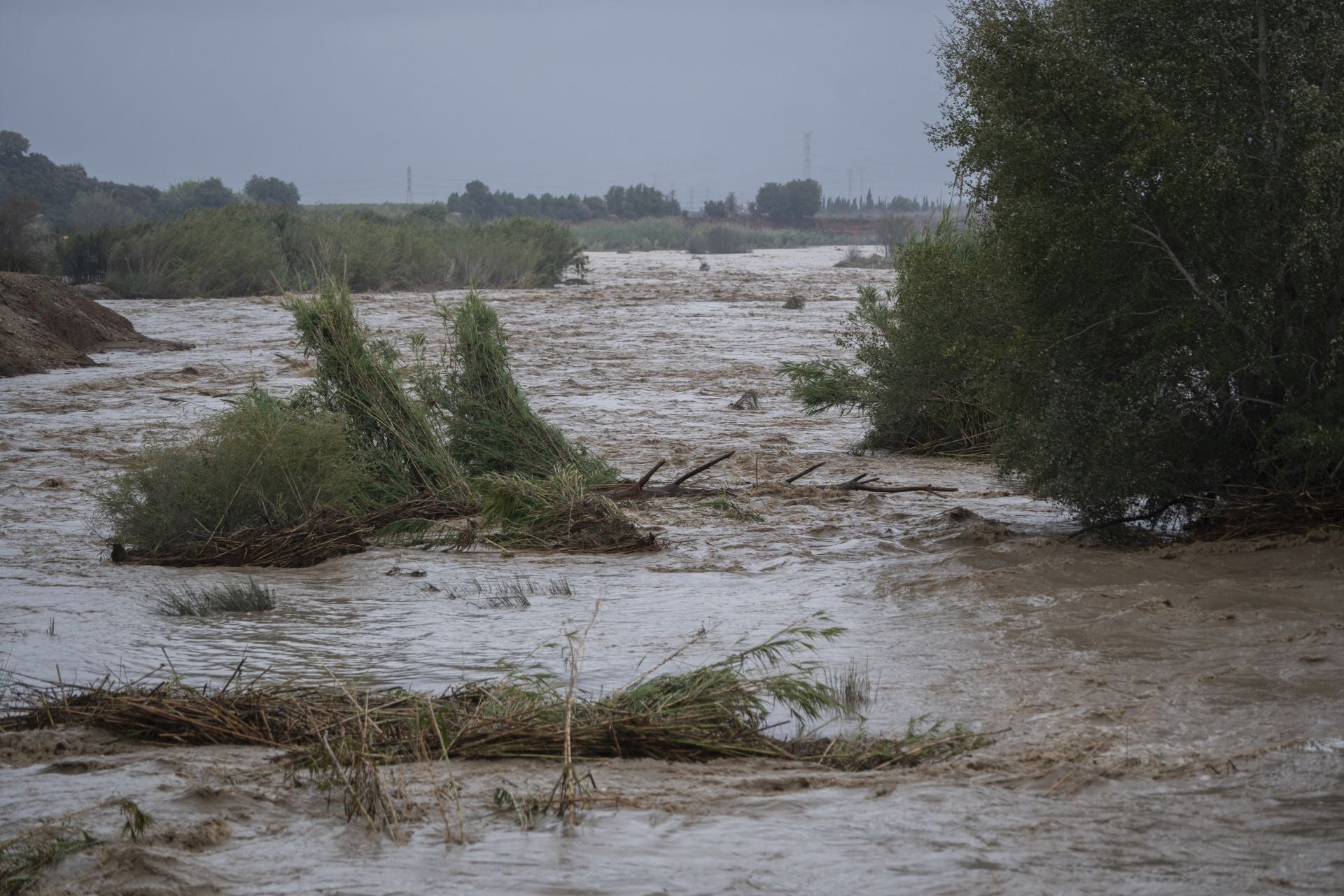 Crecida del río Magre, a 29 de octubre de 2024, en Alfarp, Valencia.