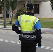 Un camión colisiona contra un árbol y lo derriba en el Campo de la Juventud