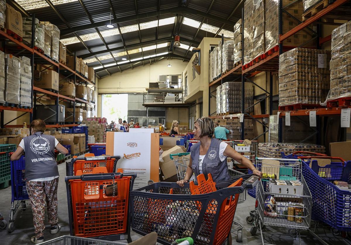 Voluntarios del Banco de Alimentos de Valencia.