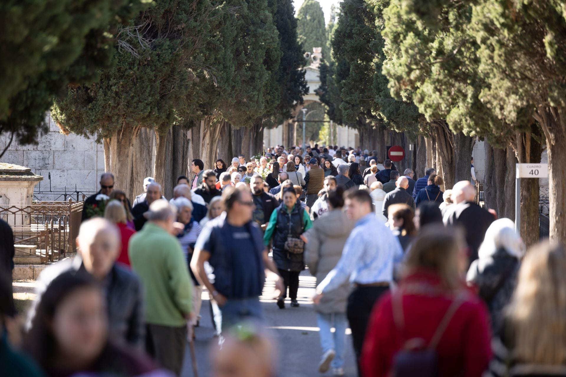 El día de Todos los Santos en Valladolid, en imágenes