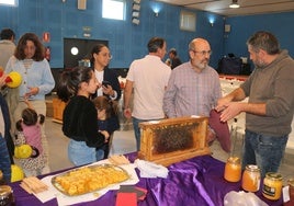 Antigüedad cuenta con una importante tradición apicultora