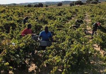 El paro agrario sube en 465 personas en Castilla y León en octubre