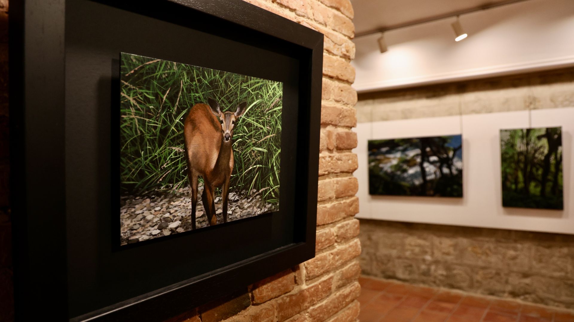 La exposición de Luis Pérez, en imágenes