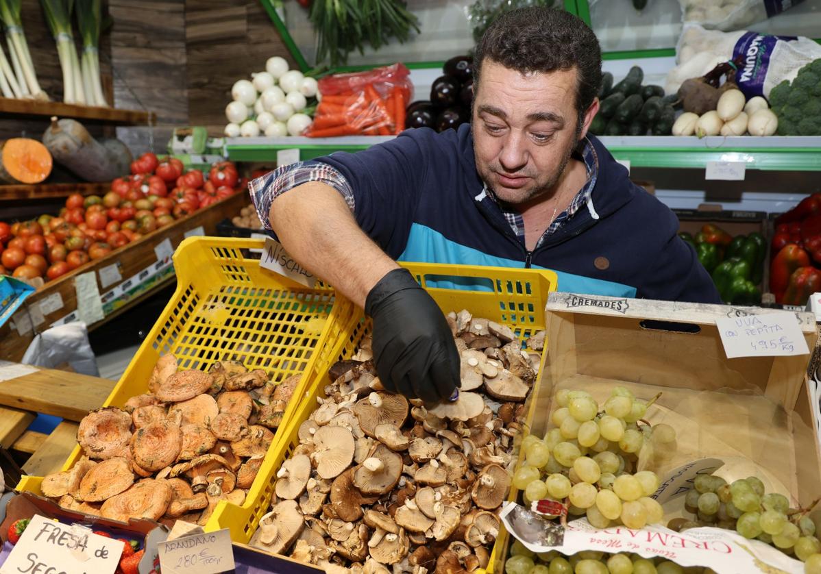 Setas en la Frutería Álex y Nuria, en la Plaza de Abastos.