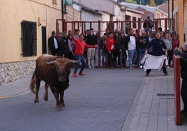 Un momento del encierro.