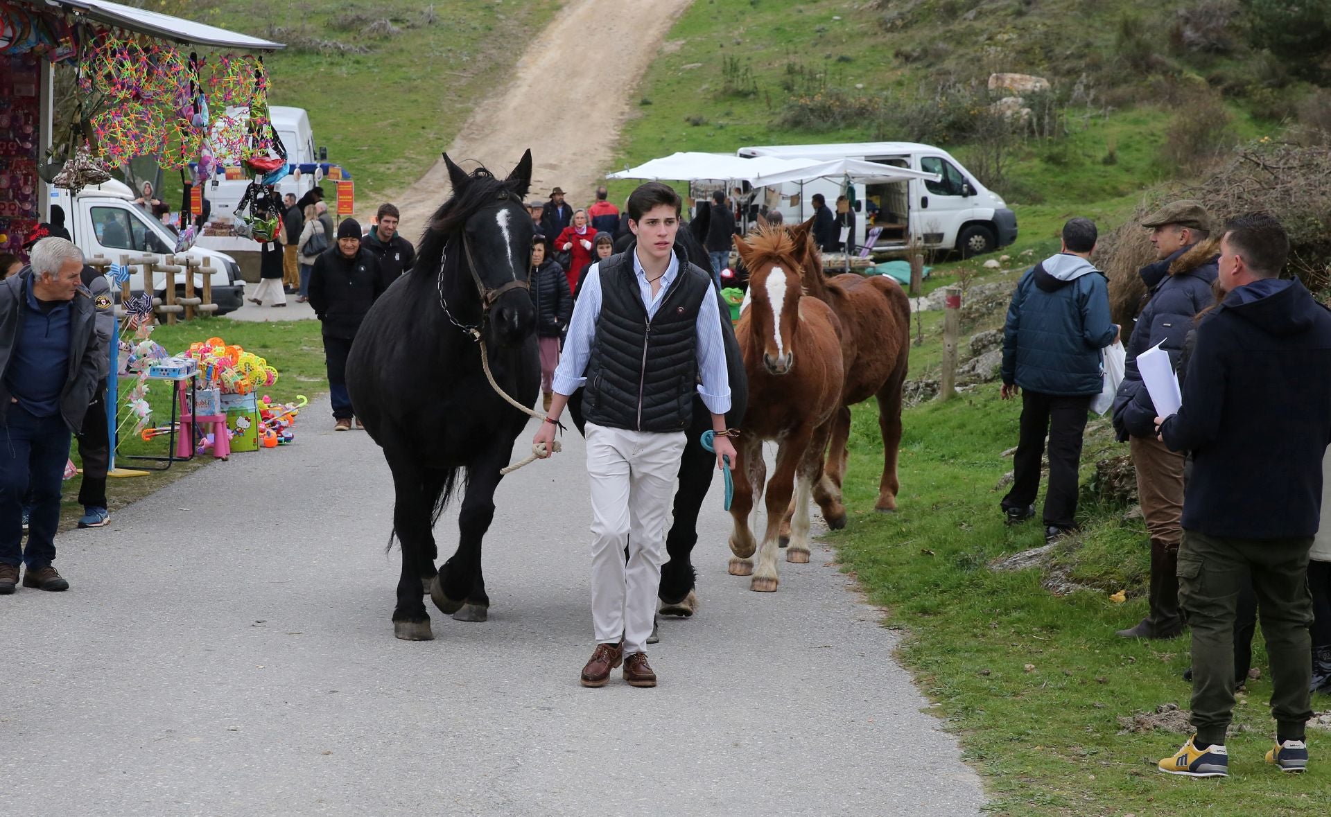 Feria de ganado en Navafría