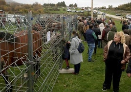 Varias personas asisten a la feria de ganado en Navafría este domingo.