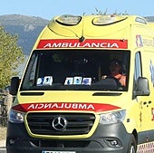 Un herido en Burgos al chocar frontalmente un camión y un coche