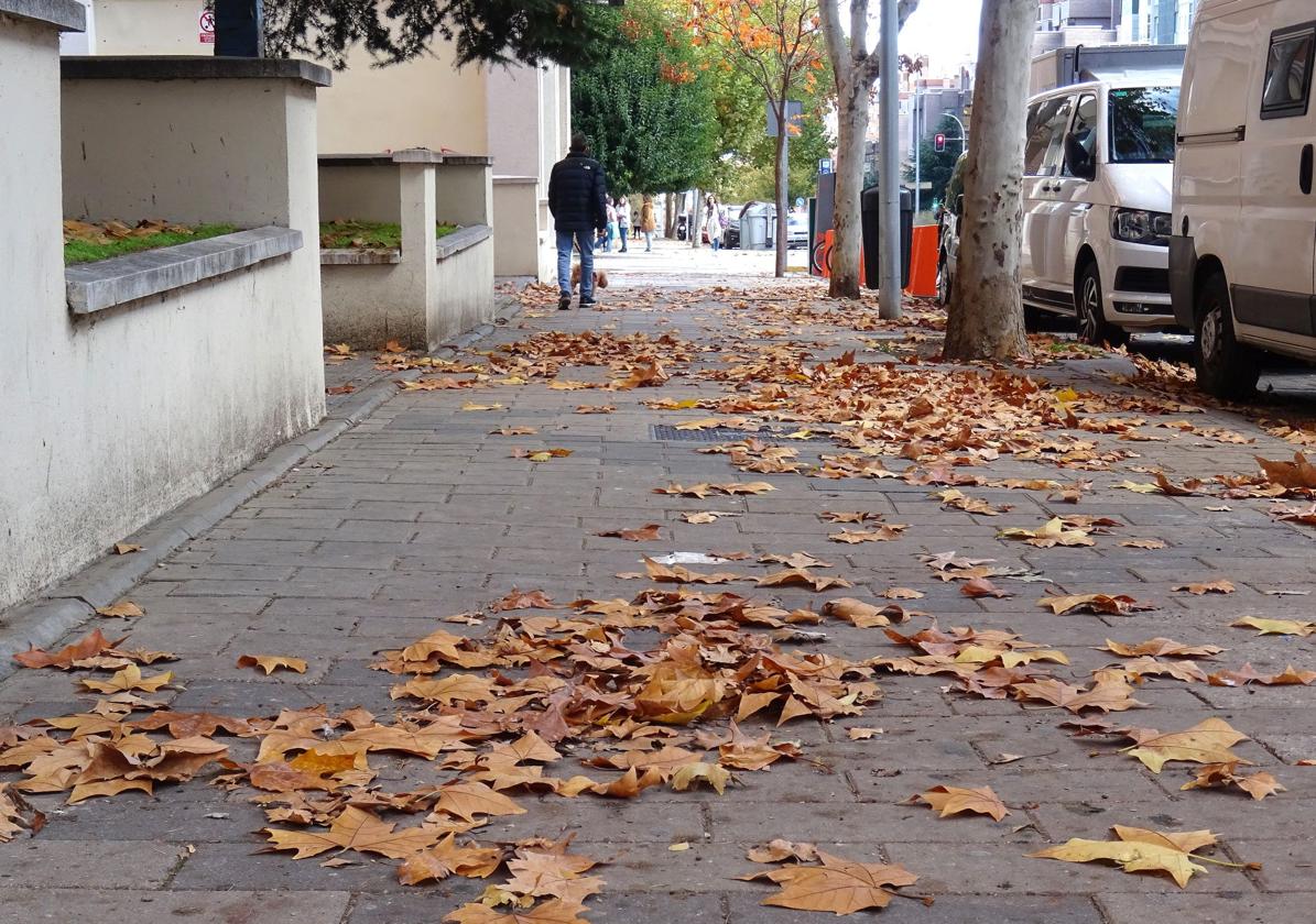 Valladolid recibe el primer arreón del otoño con viento, fresco y lluvias