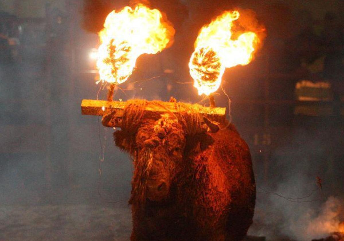 Celebración del Toro Jubilo de Medinaceli en una edición anterior.