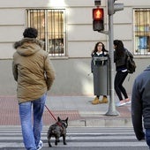 Esta es la multa a la que pueden enfrentarse los peatones que crucen en rojo