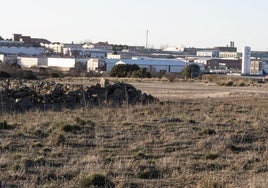 Terrenos del sector conocido como Prado del Hoyo.