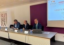 Presentación de las conclusiones del estudio, en un acto, organizado por la Fundación para la Investigación del Vino y la Nutrición (FIVIN) y el Consejo Regulador de Ribera del Duero.