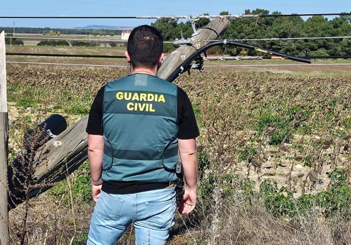 Un agente ante un poste del tendido telefónico derribado por los ladrones.