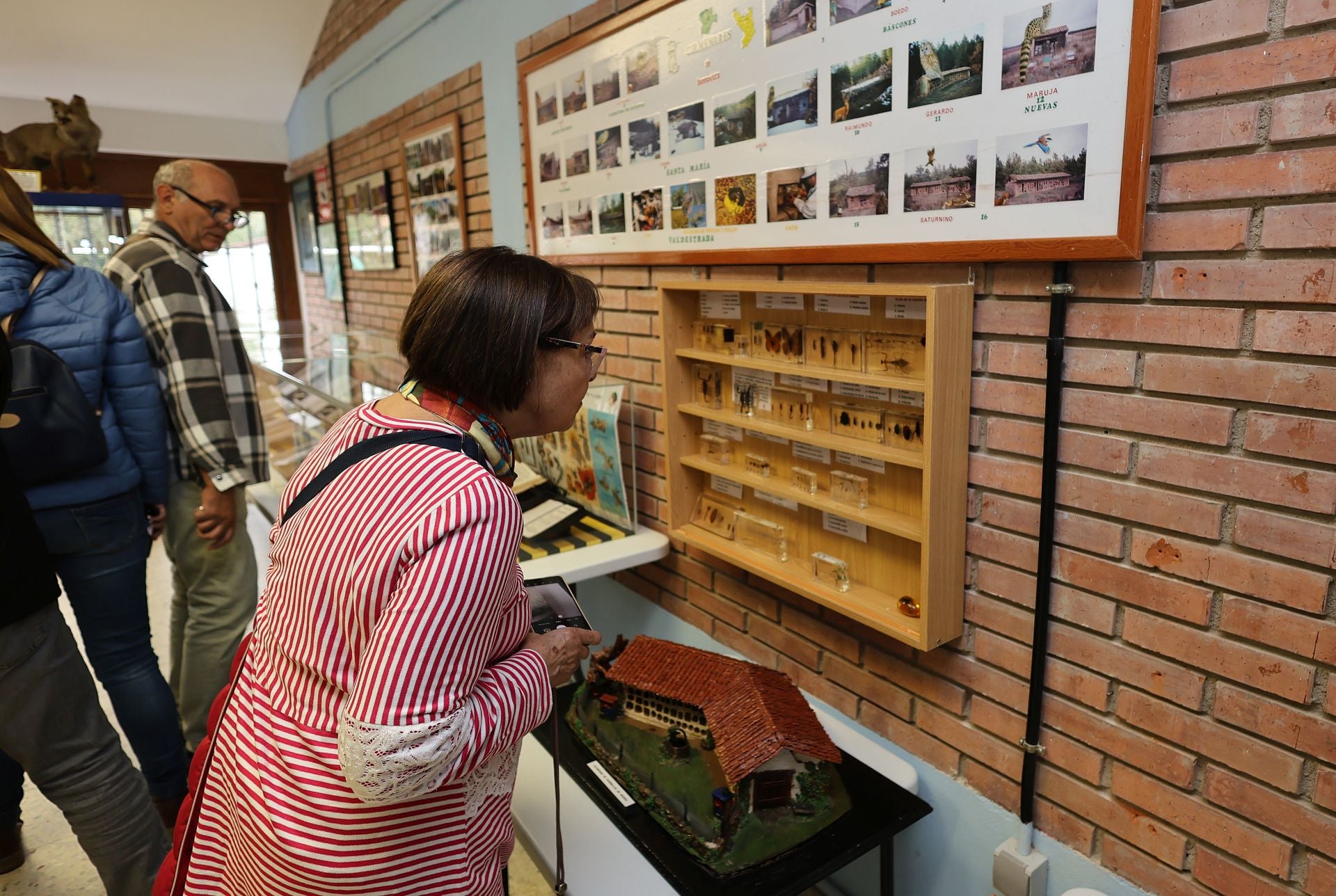 Así es el Museo de las Abejas de Castrejón de la Peña