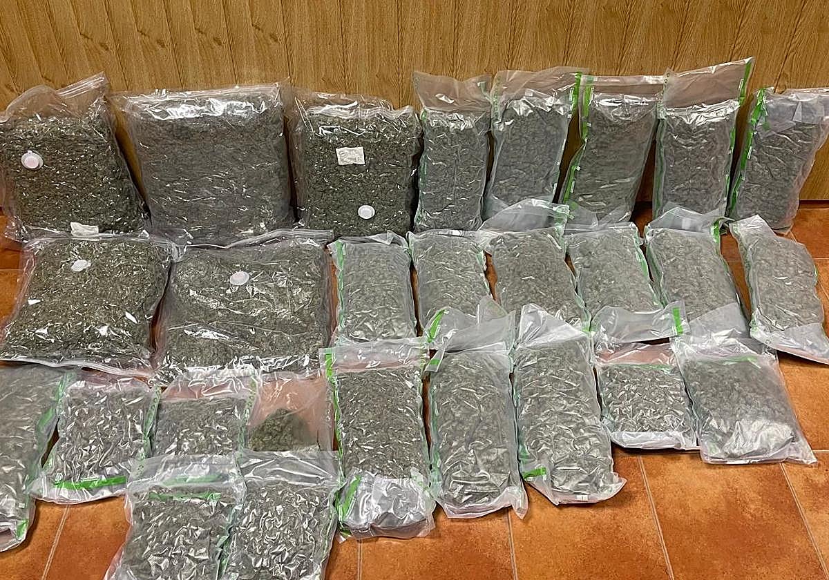 Los paquetes de marihuana que iban en las maletas.