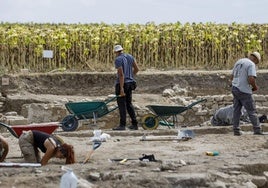 Trabajos en el yacimiento arqueológico de Confloenta, en la provincia de Segovia.