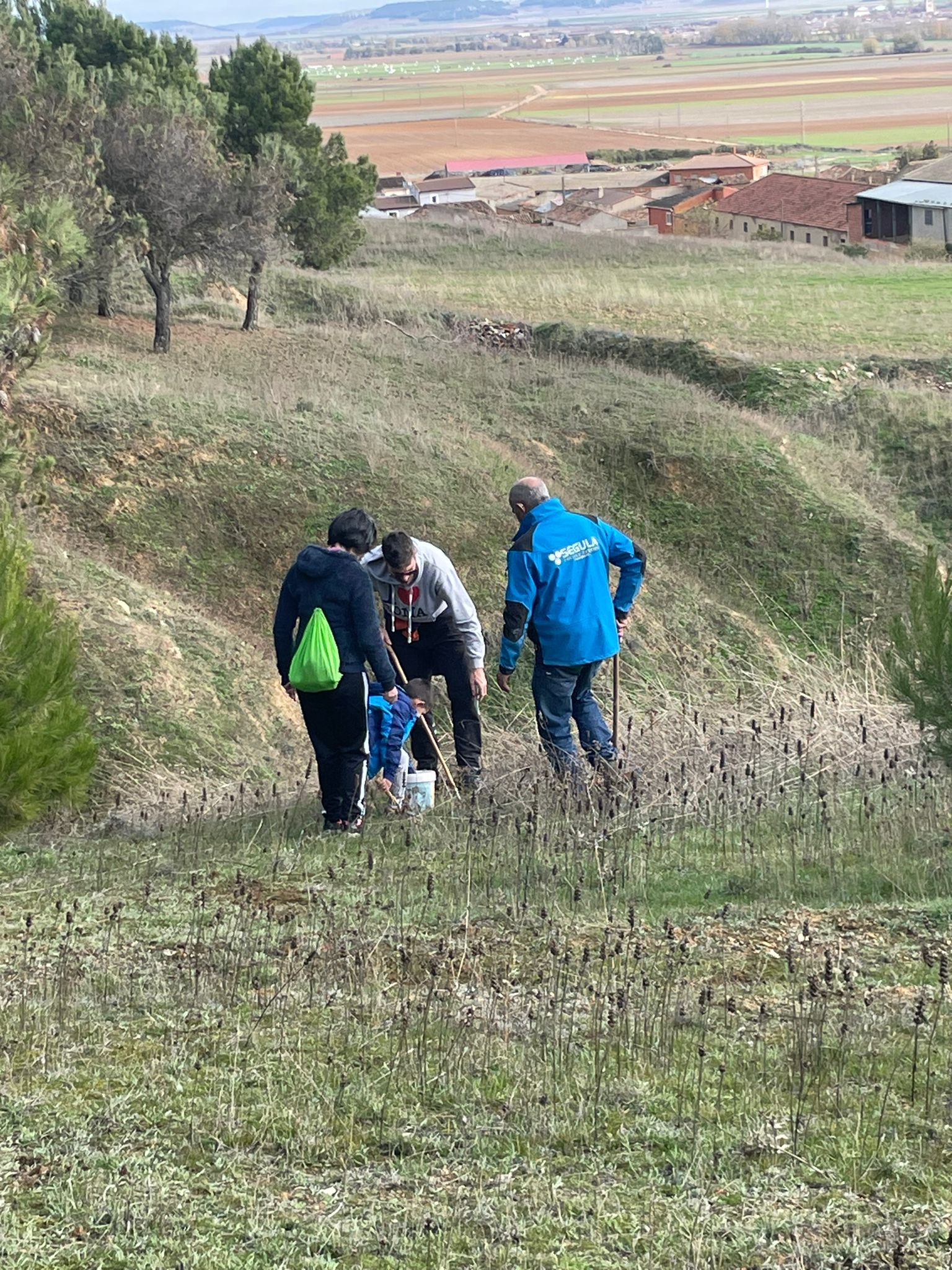 Tordehumos planta más de 600 bellotas en las laderas del castillo