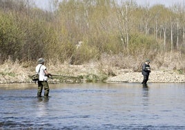 Pescadores en un río de Palencia.