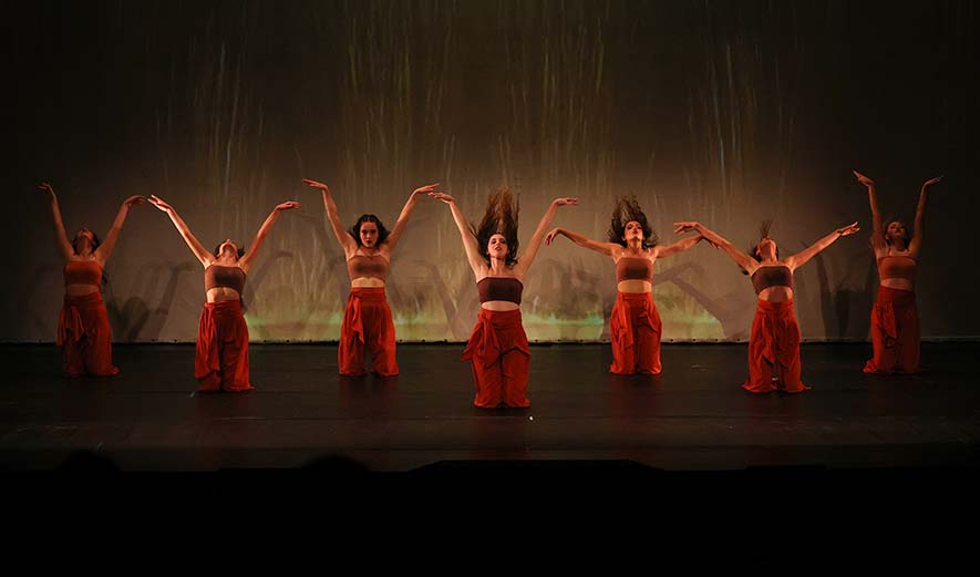 Gala solidaria de danza en Palencia