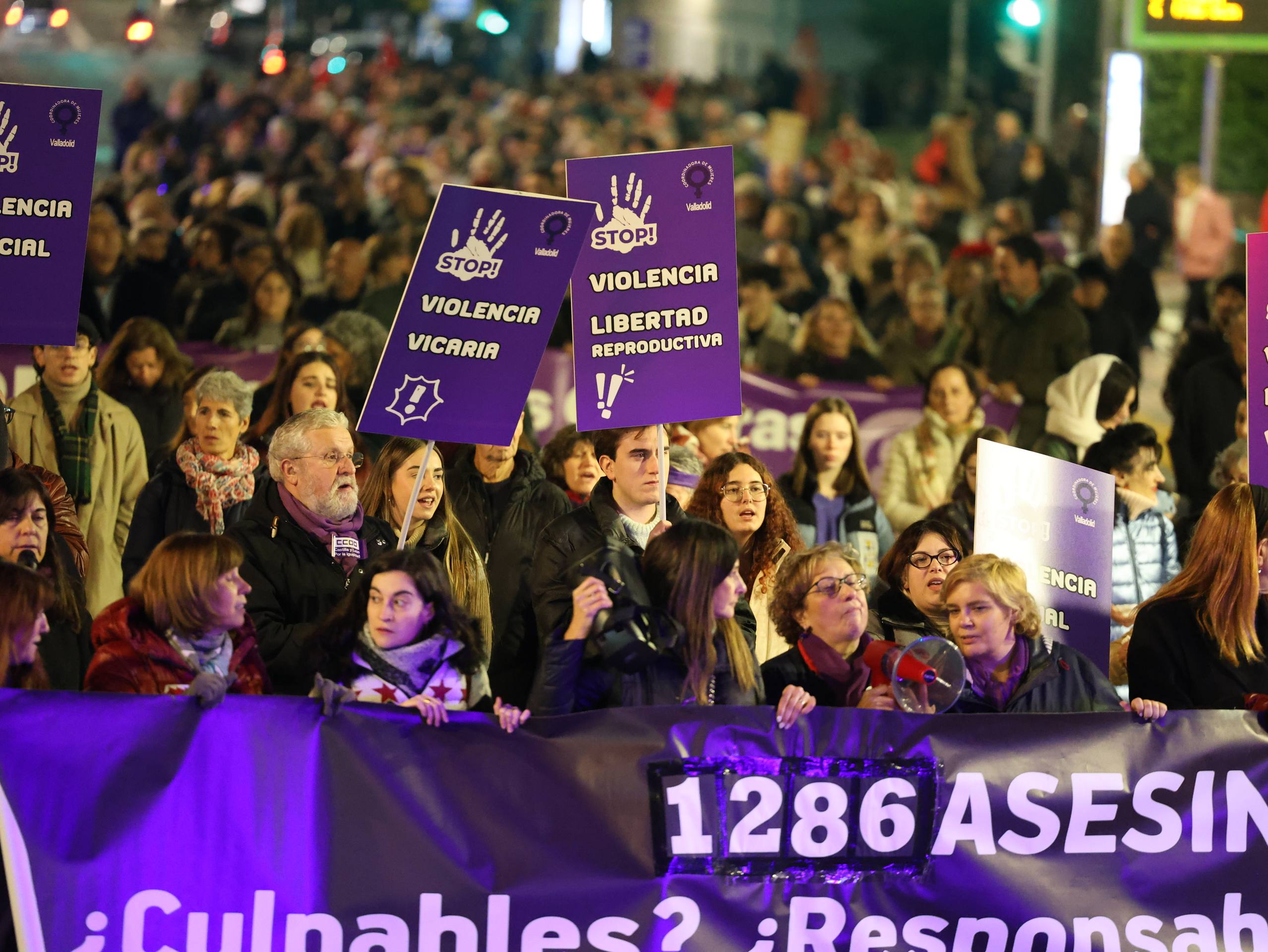 La manifestación por el 25-N en Valladolid, en imágenes