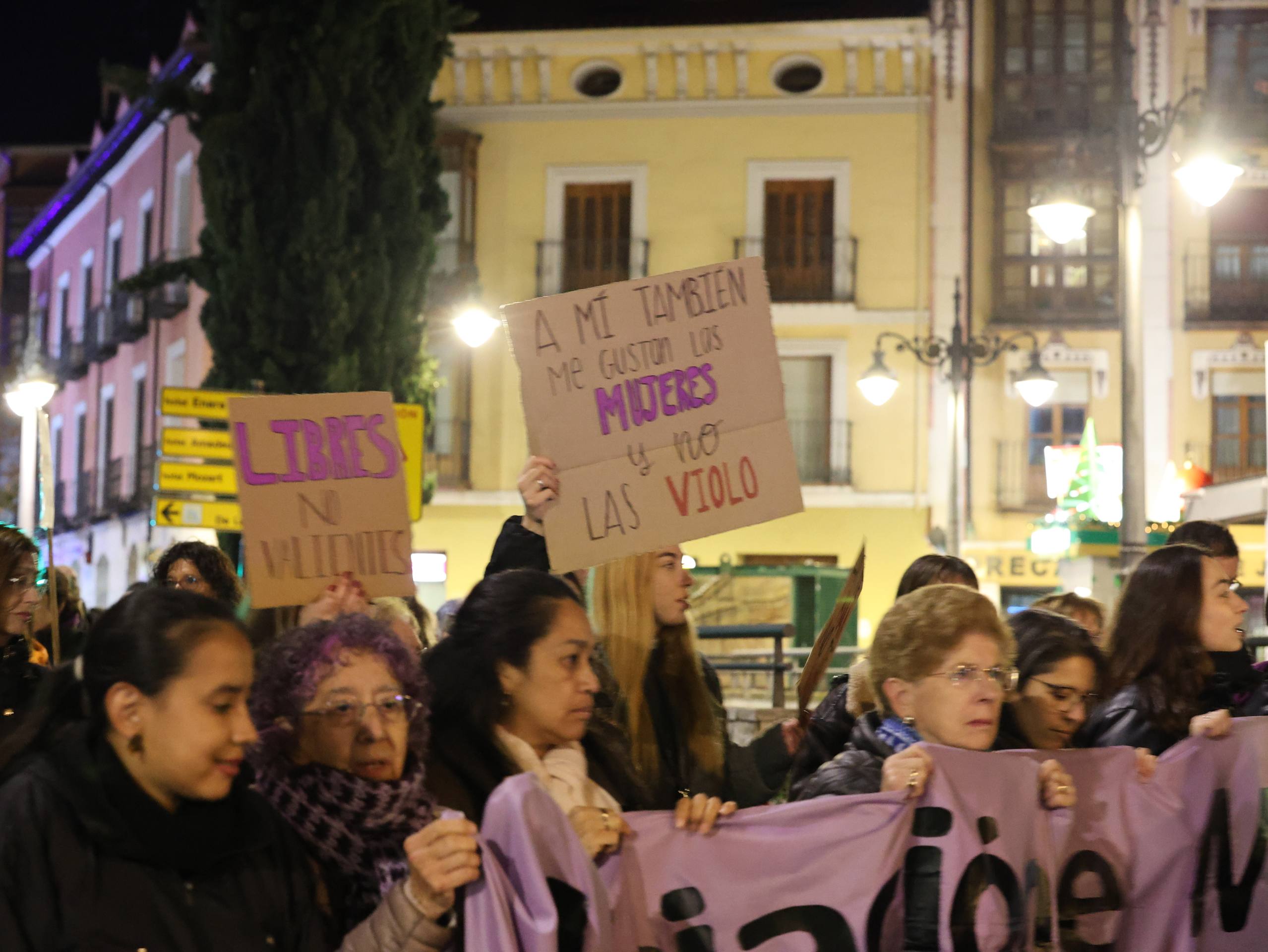 La manifestación por el 25-N en Valladolid, en imágenes