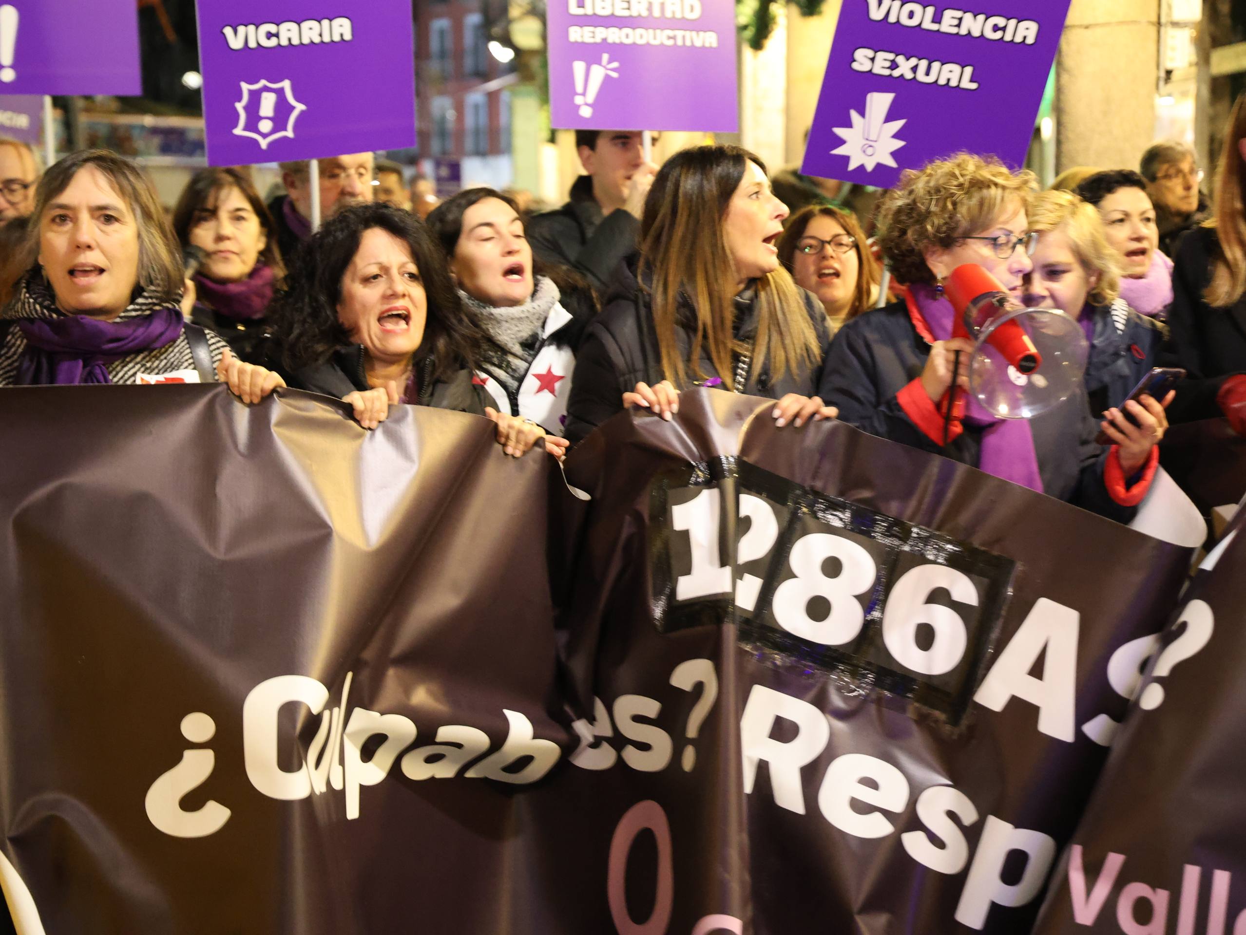 La manifestación por el 25-N en Valladolid, en imágenes