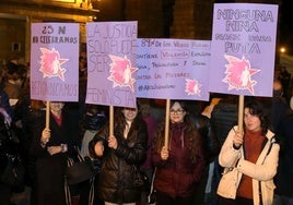 Mujeres muestran carteles con lemas por el 25-N en la concentración que ha tenido lugar este lunes en Segovia.