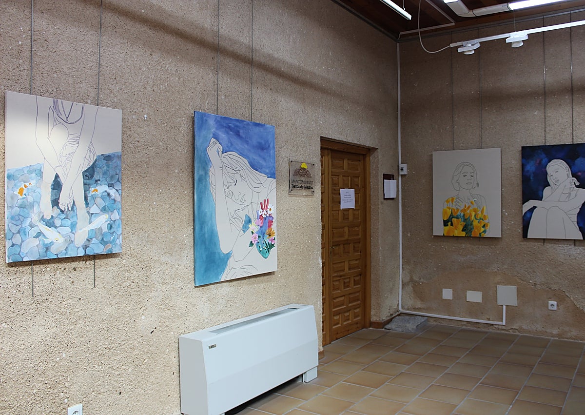 Imagen secundaria 1 - Exposición en el Centro Cultural Integrado de Medina del Campo 