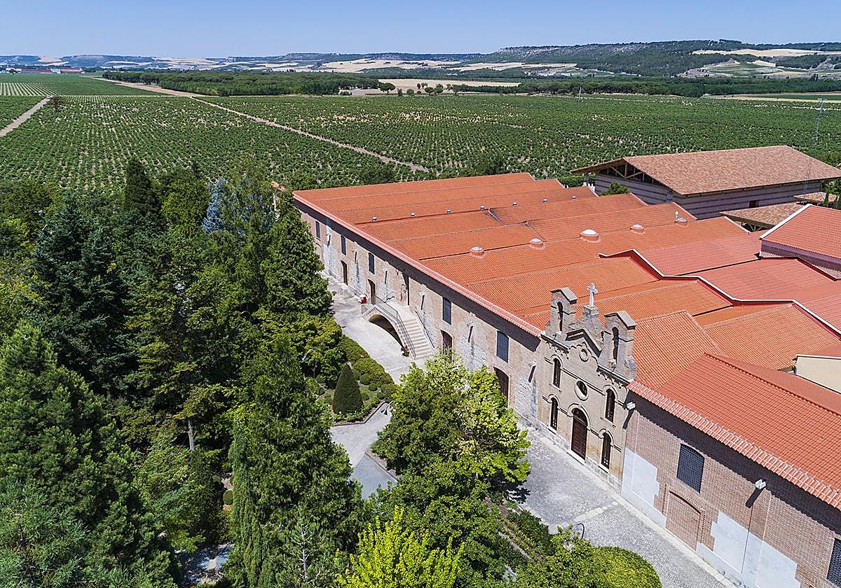 El vino vallisoletano premiado se elabora en la Ribera del Duero, una de las principales comarcas enológicas.