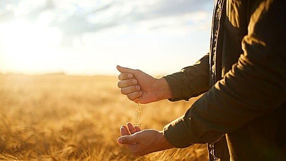 Transformación rural hacia un campo más seguro