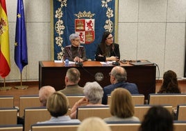 Carmen Cárdenas y Silvia de la Varga durante la mesa redonda celebrada en la sede del CES