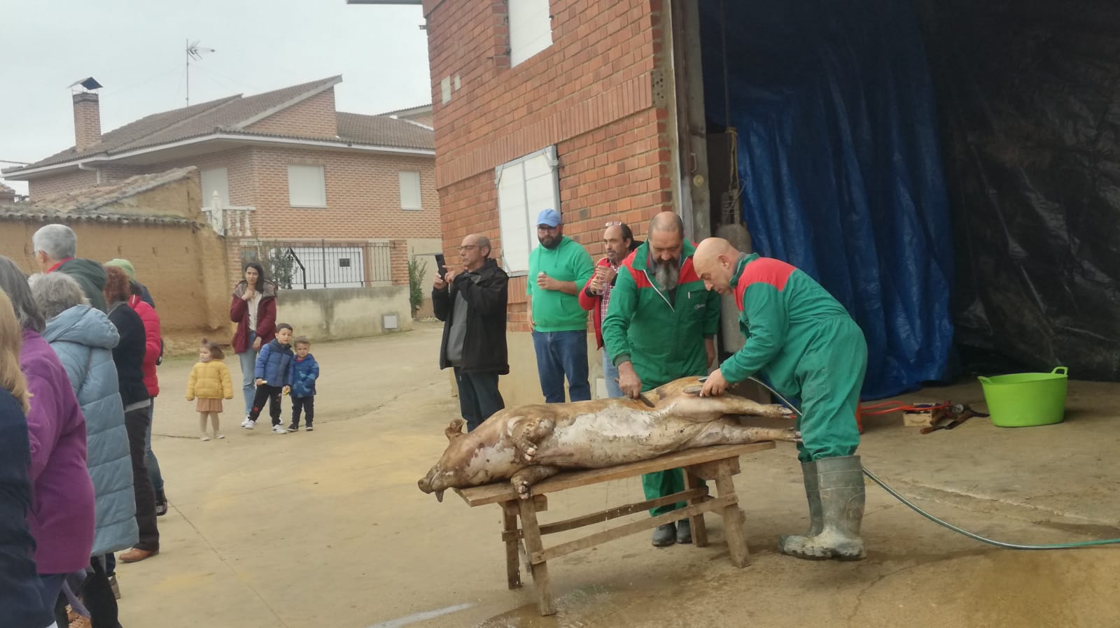 Urones de Castroponce revive el rito de la matanza