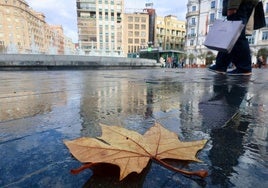 Una hoja caída sobre la calzada humedecida por las lluvias de la pasada madrugada en la plaza de Zorrilla.