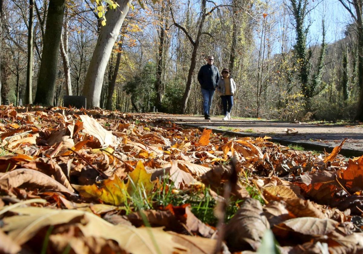 Paseantes en un día soleado de otoño en la Alameda del Parral.