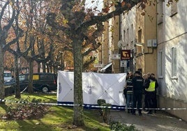 Escena del crimen en Aranda de Duero.