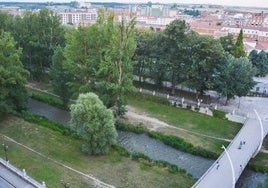 El cuerpo del bebé fue hallado en la ribera del Arlanzón, frente a Santa Teresa.