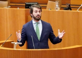 Juan García-Gallardo, durante su intervención en las Cortes.