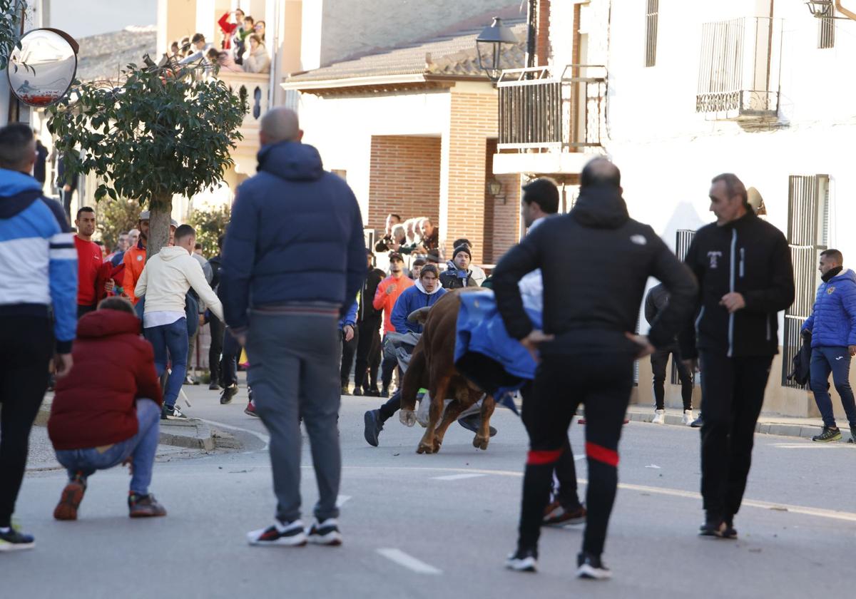 Las imágenes del encierro de Pollos