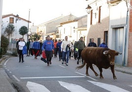 El utrero de Astolfi, por las calles de Pollos.