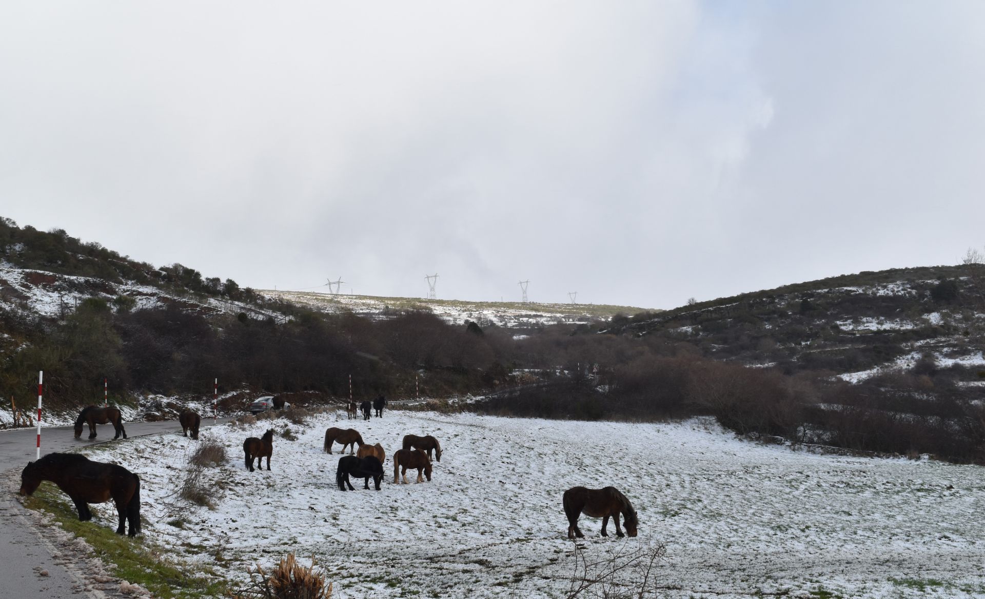 El norte de Palencia se tiñe de blanco