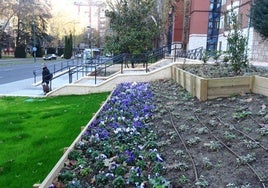 Nuevos jardines, una vez retiradas las vallas, en torno a la escalinata y la rampa de la plaza del Doctor Quemada.