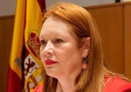 Irene Cortés, directora de la Agencia de Protección Civil.