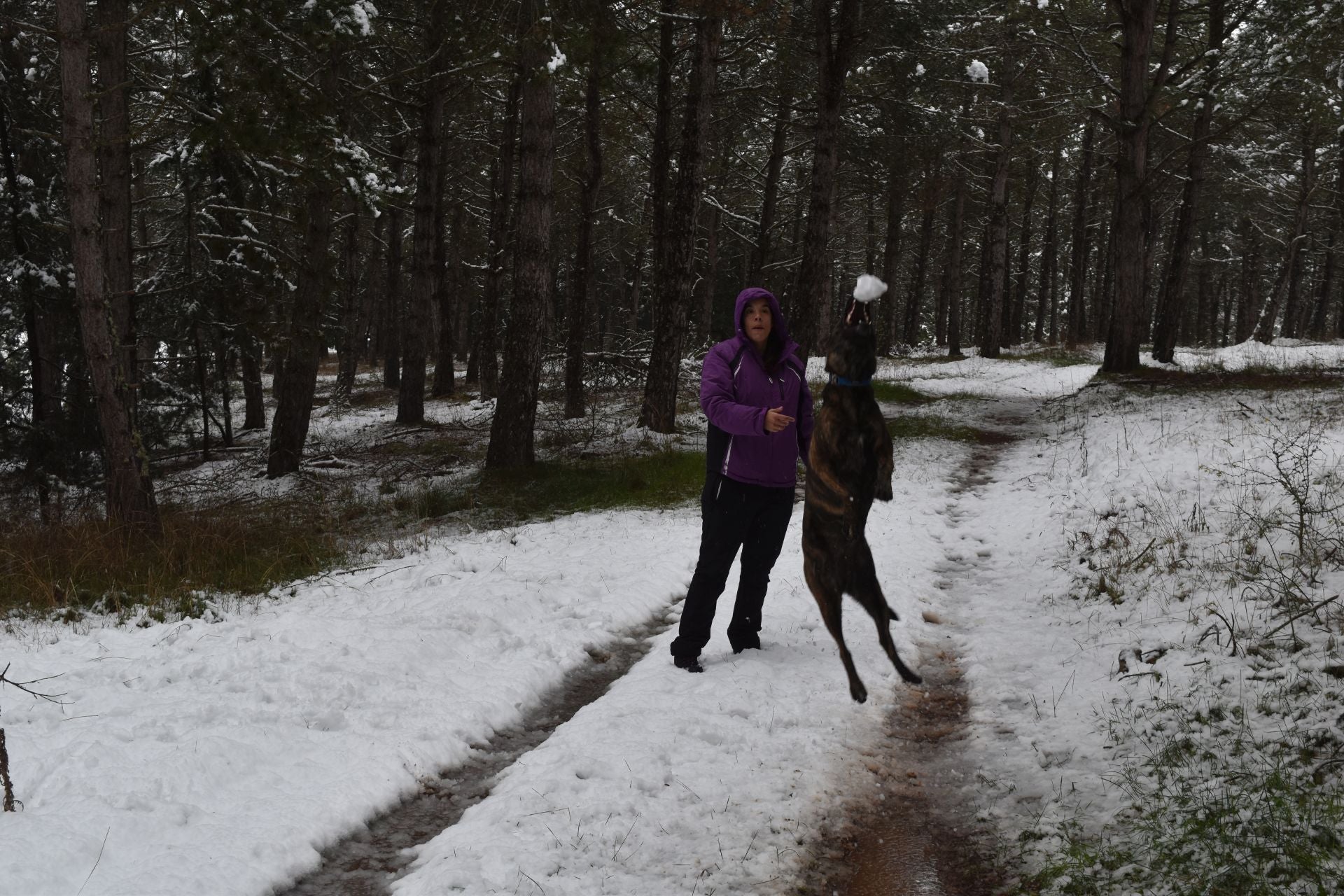 La nieve, perfecta aliada en un día festivo en la Montaña Palentina