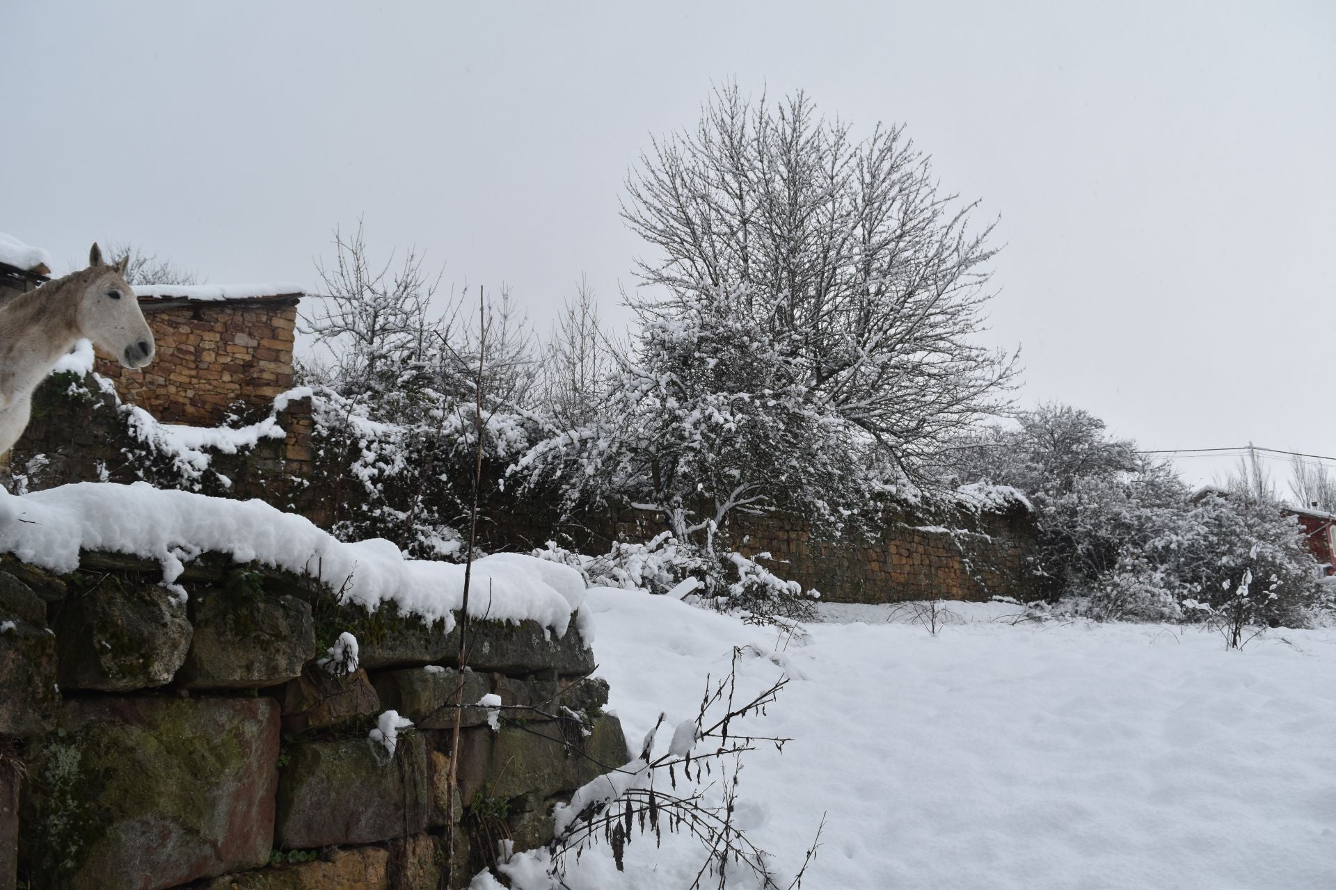 La nieve, perfecta aliada en un día festivo en la Montaña Palentina