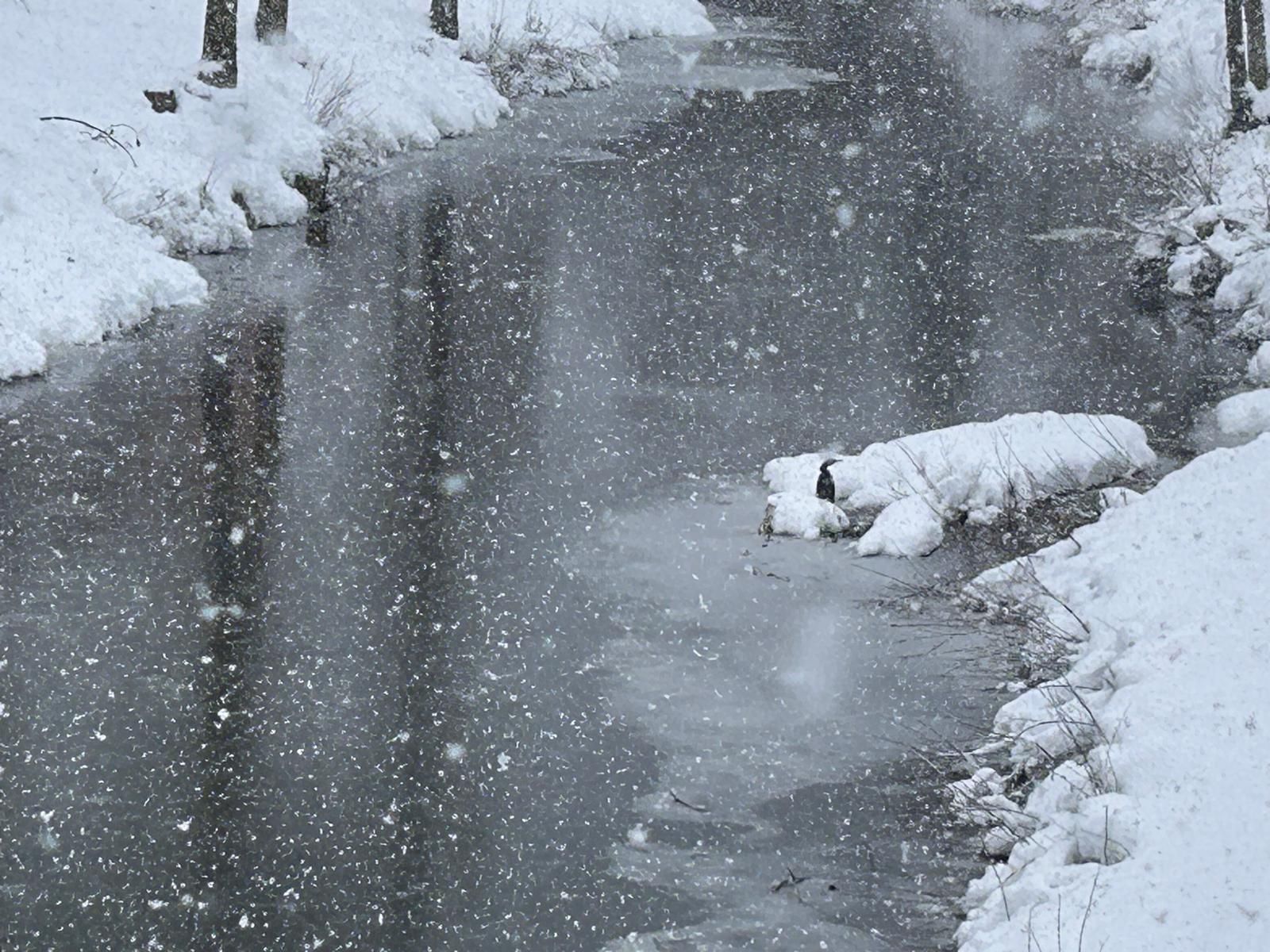 La nieve deja bonitas estampas en Cantamuda