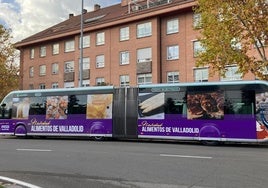 Uno de los autobuses de Auvasa, con los rótulos de Alimentos de Valladolid.